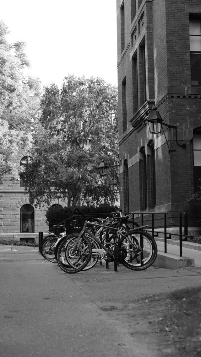 Bicycles cluster beside a stone-and-brick building under leafy trees.