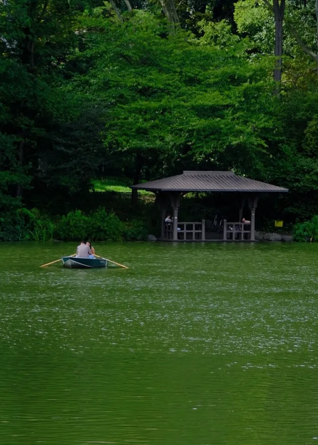 A small pavilion sits beneath dense green trees beyond an open lawn.
